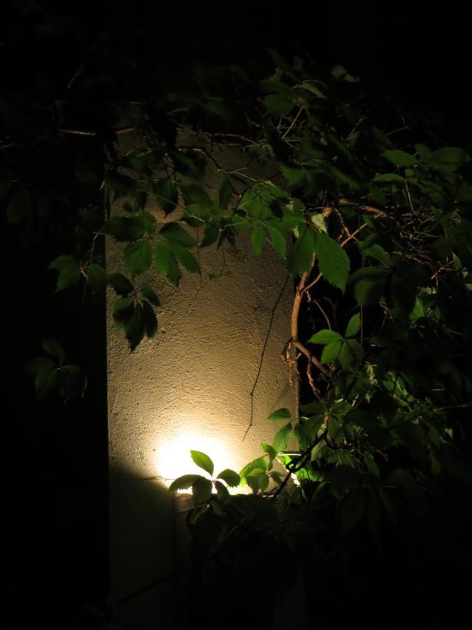 Nature'S Pace Holidays Montmaur  外观 照片